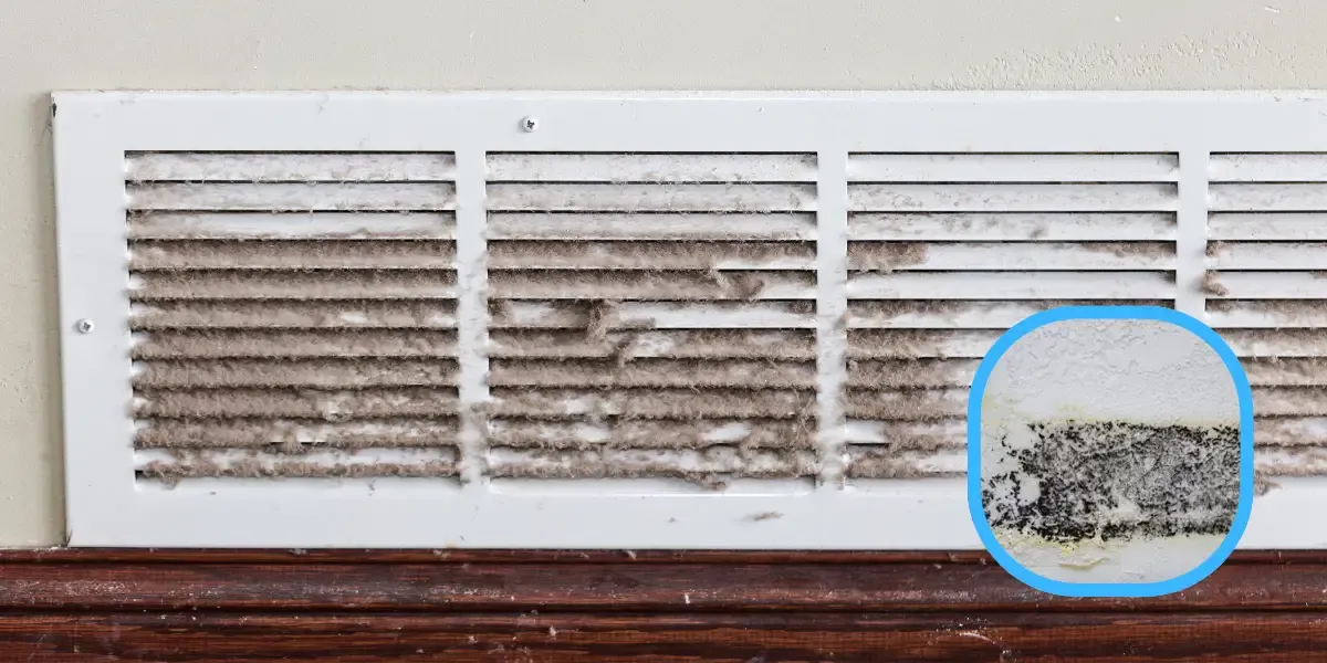 Mold in Air Ducts