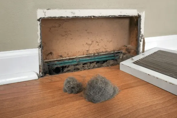 Pet Hair in air Ducts